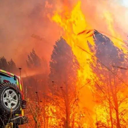 ارتفاع درجات الحرارة في أوروبا. الصورة من وكالة الأنباء الألمانية