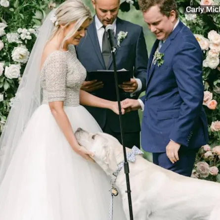 صورة الكلب مع العروسين