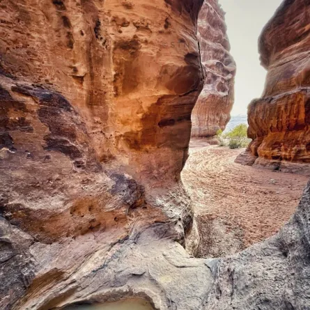 صورة بركة المياه المحاطة بالجبال