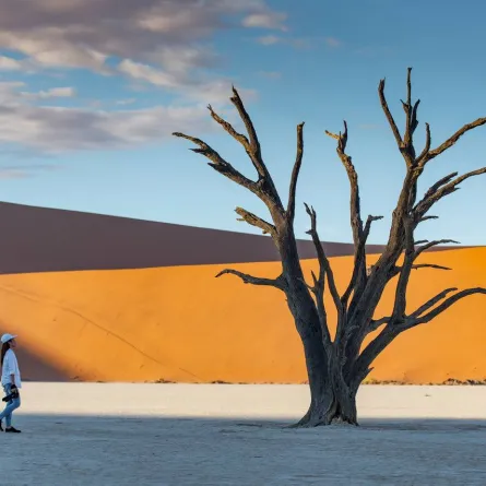 صورة لفتاة في الصحراء