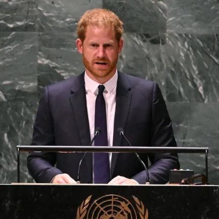 الأمير هاري في خطابه أمام الأمم المتحدة- الصورة من موقع News