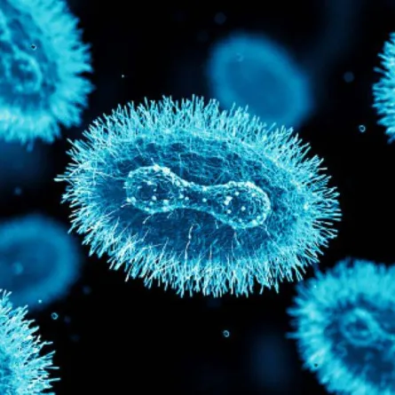 الإمارات تعلن تسجيل 3 إصابات جديدة بجدري القرود