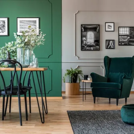 نموذج عن لون طلاء الجدران الأخضر الدارج أخيرًا