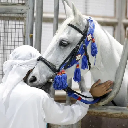 معرض أبوظبي للصيد والفروسية. الصورة من "وام"