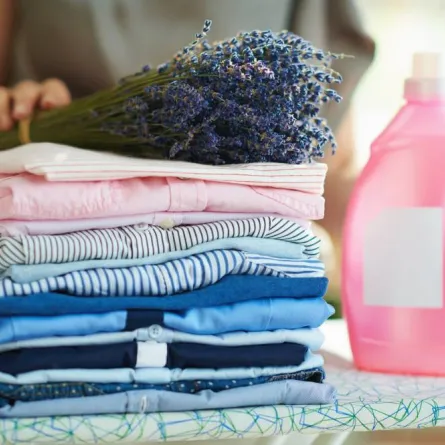 دليل تنظيف الملابس