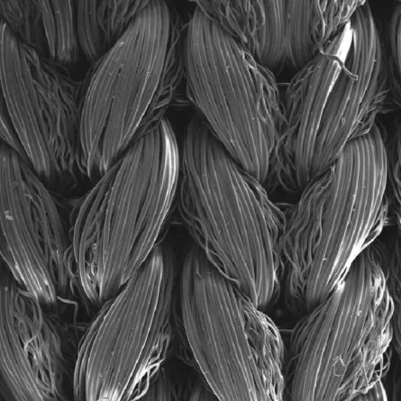 صورة منسوجات ذكية