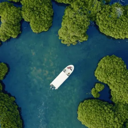 جزر فرسان - الصورة من واس