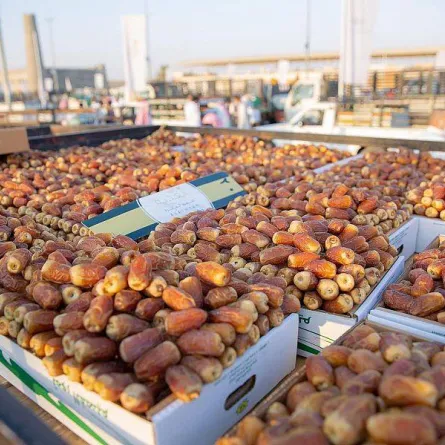 مهرجان تمور بريدة - الصورة من "اوس"