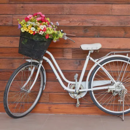 تزيين الدراجة الهوائية فى العيد