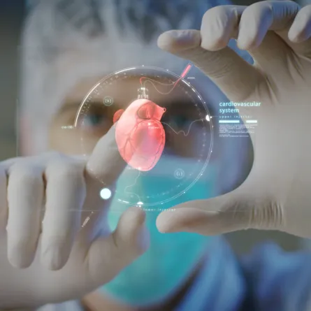 علماء يطورون نموذجا "حقيقيا" لبنية القلب الحلزونية