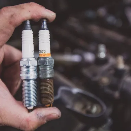 بواجي السيارة