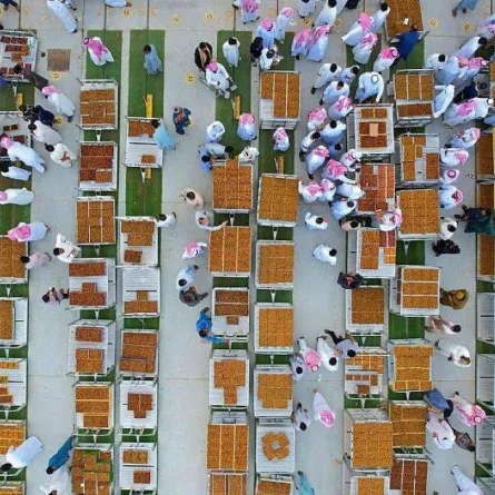 موسم عنيزة للتمور 