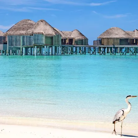 أفضل منتجعات المالديف لعيش لحظات استثنائية لا تُنسى