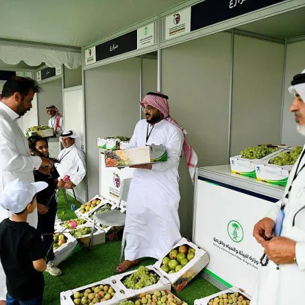 مهرجان العنب والفواكه 