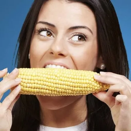 صورة لحامل تتناول الذرة