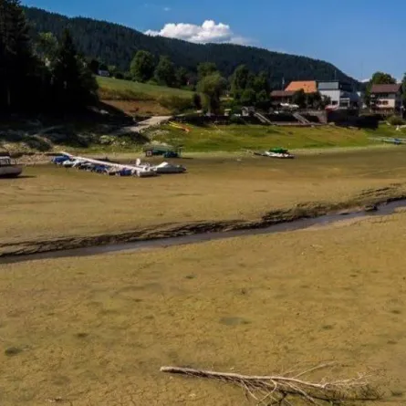 الجفاف التاريخي يضرب فرنسا.. وعشرات البلدات دون مياه شرب