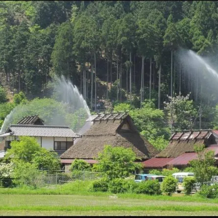 مهرجانُ خراطيمِ المياه.