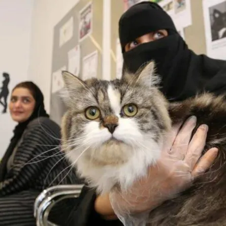 بيتويا هو أول منتجع وفندق معتمد للحيوانات الأليفة في الرياض - الصورة من GULF NEWS