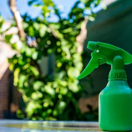 طرق ناجحة في طرد البعوض من الحديقة