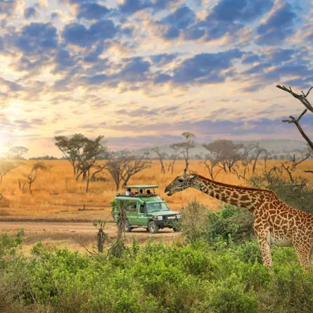 3 محميات طبيعية لعشاق المغامرات