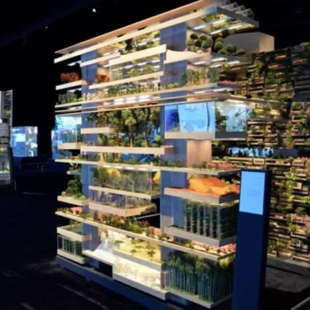 مدينة ذا لاين