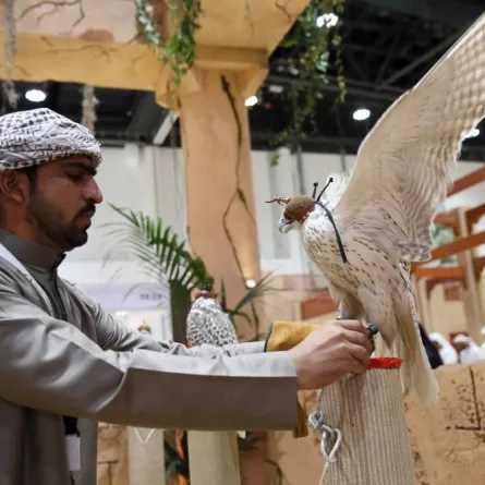 أبوظبي للصيد والفروسية. الصورة من "وام"