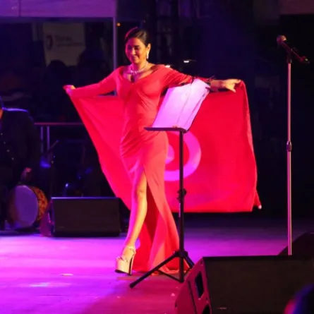 شيرين عبد الوهاب في حفلها في مهرجان قرطاج عام 2017-  الصورة من ارشيف  المحرر