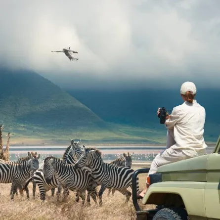 معلومات يجب معرفتها قبل السفر إلى دول أفريقيا