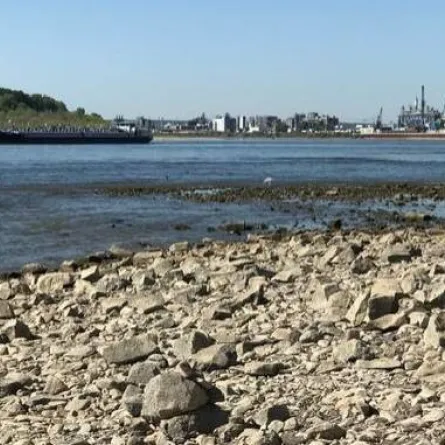 الجفاف يهدد أوروبا. الصورة من DW