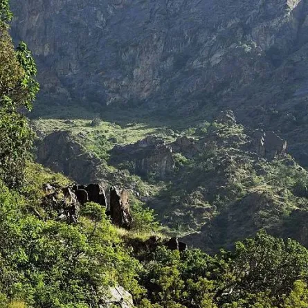 في المملكة أنواع عدة من الأشجار. الصورة من "واس"