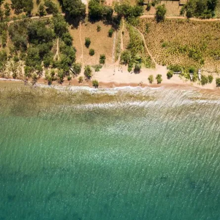 محمية رومونج الطبيعية Rumonge Nature reserve - الصورة من حساب Visit Burundi