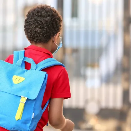 صورة لافتتاح المدارس