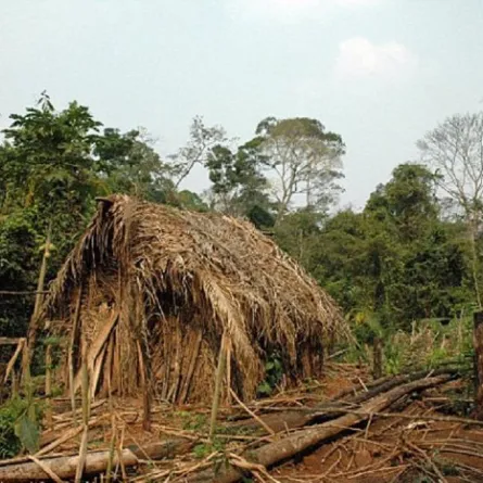 صورة كوخ الرجل الوحيد