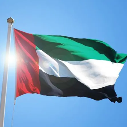 الحياة الرقمية في الإمارات