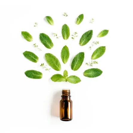 زيت النعناع