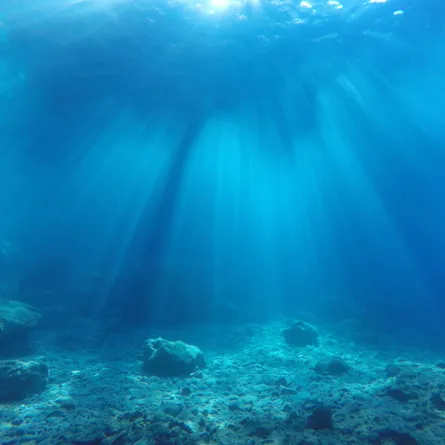 ثقوب غامضة في قاع المحيط تثير استغراب العلماء