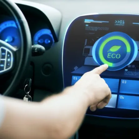 وظيفة نظام الايكو