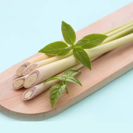 فوائد عشبة الأذخر