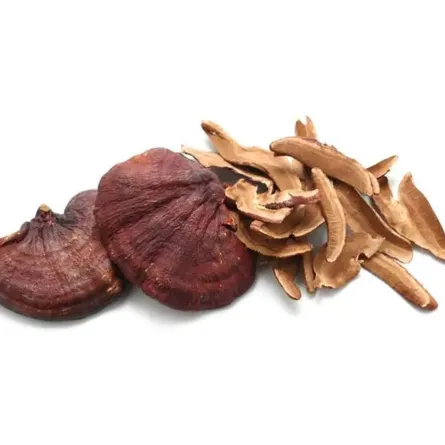 فوائد الفطر الريشي للنساء