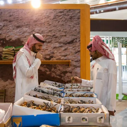 ابتكارات جديدة في لوازم الرحلات والتخييم بمعرض الصقور والصيد السعودي الدولي