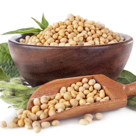 لماذا يجب التركيز على البروتينات النباتية بعد سن الخمسين؟ 