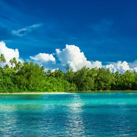 جزر كوك.. مقصد عشاق الطبيعة