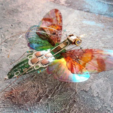 حشرات مجنحة معاد تدويرها