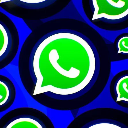 صورة تطبيق واتساب