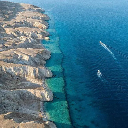 مسؤول في نيوم: 40% من سكان العالم على بعد 6 ساعات من المدينة