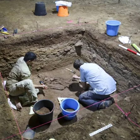 صورة للجنة الكشف عن الآثار في إندونيسيا