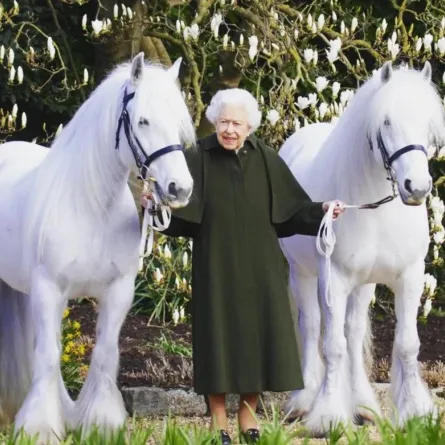 الملكة إليزابيث وحب من نوع خاص للخيول- الصورة من حساب The Royal Family على إنستغرام