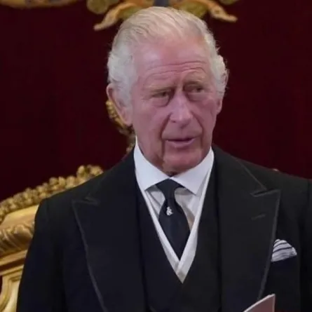 الملك تشارلز في مجلس الإنضمام- الصورة من حساب Europe Royals على إنستغرام