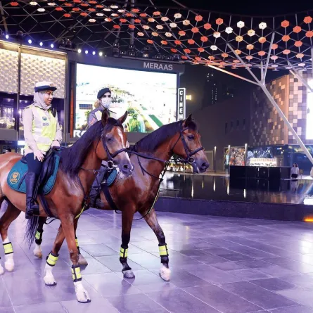 يمتلك المركز 100 خيل مؤهلة ومدربة . الصورة من شرطة دبي