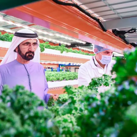 منتجات غذائية بجودة عالية. الصورة من مكتب دبي الإعلامي